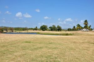 Tobago Plantations 10th Water